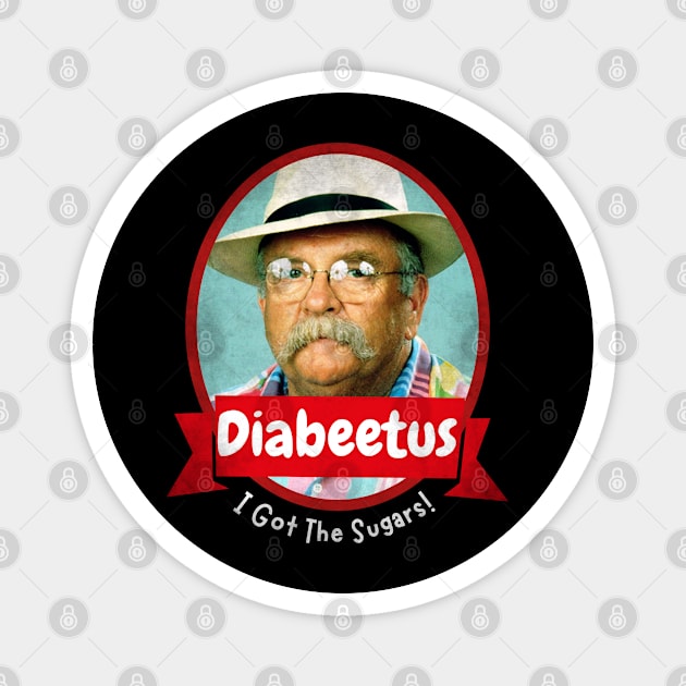 Diabeetus-i-got-the-sugars Magnet by Funny sayings